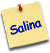 Salina.png